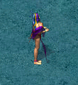 华夏免费版 赤水怪物 配图